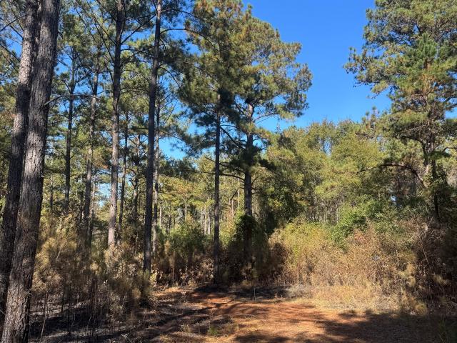 Land for sale in West Point, Georgia