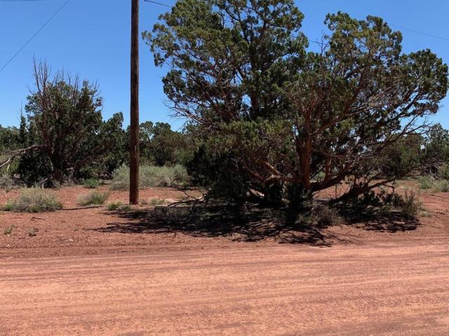 House for sale in Arizona