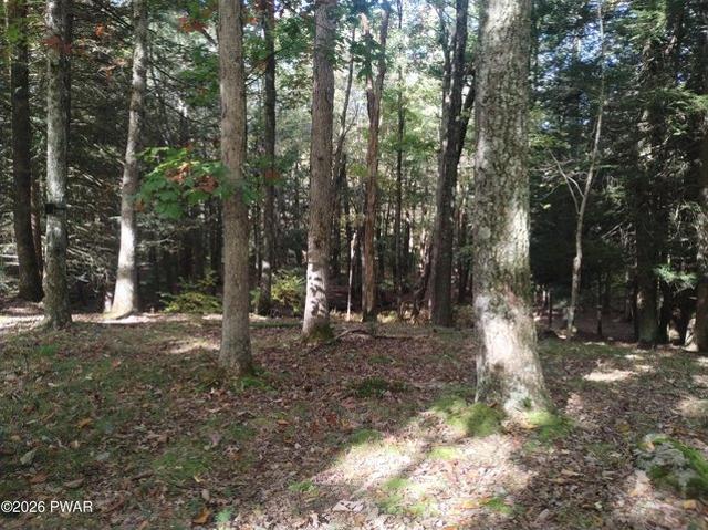 Land for sale in Hawley, Wayne County
