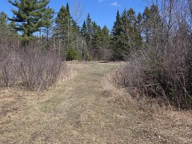 Land for sale in Oakfield, Maine
