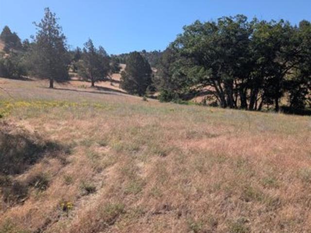 Land for sale in Montague, California