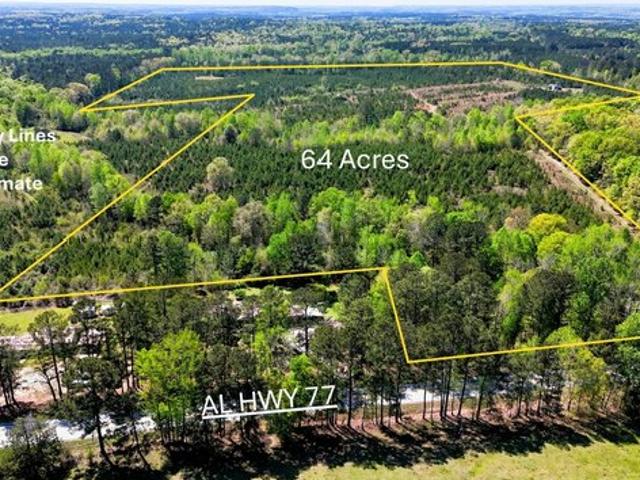 House for sale in Roanoke, Alabama