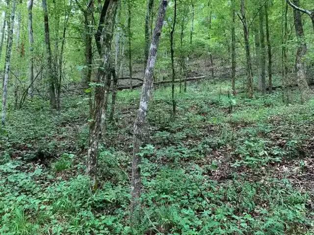House for rent in Alabaster