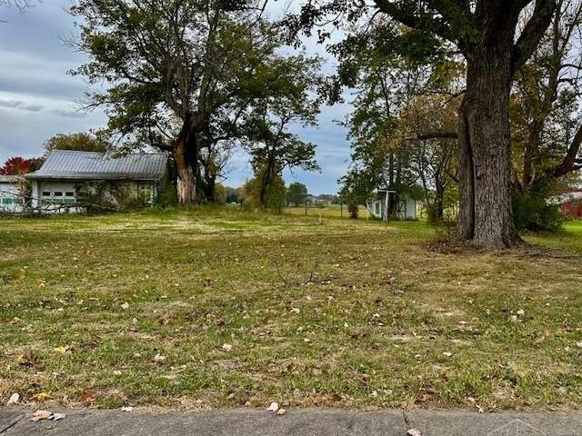 Land for sale in Dillsboro, Indiana