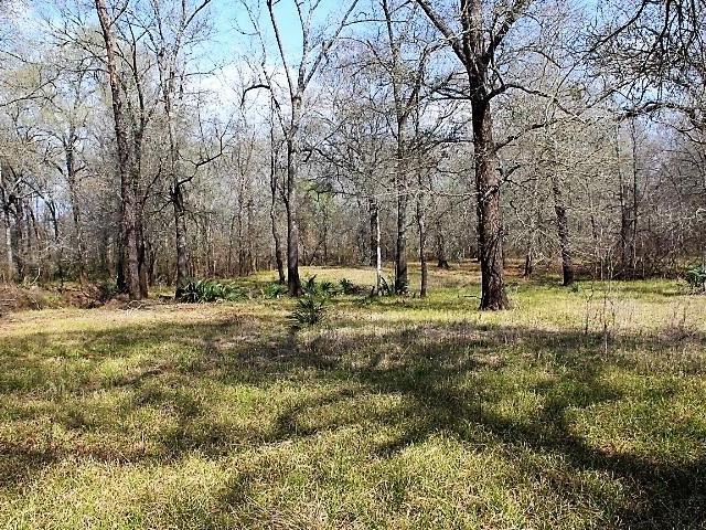 Farm for sale in Leon, Texas