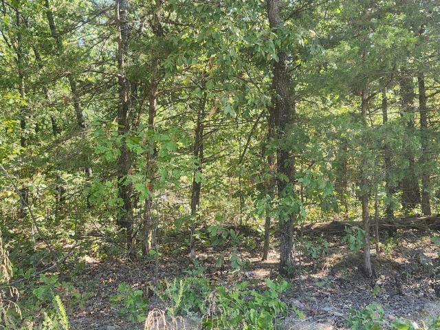 Land for sale in Flemington, Hickory County