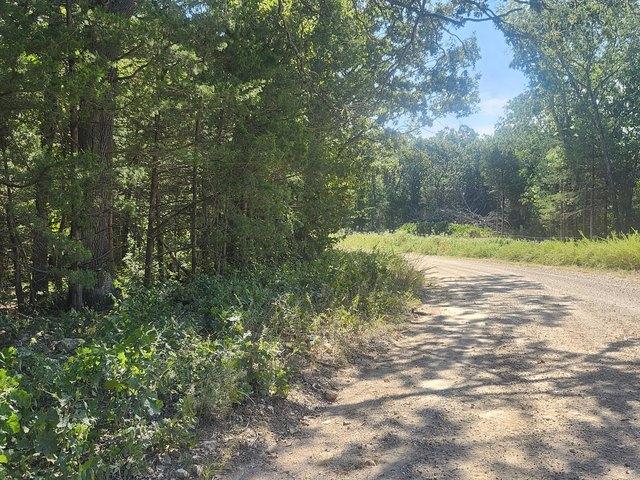 Land for sale in Flemington, Polk County