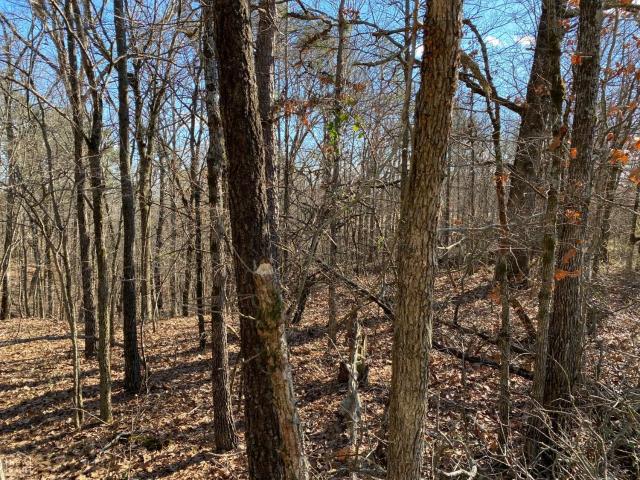 Farm for sale in Ark