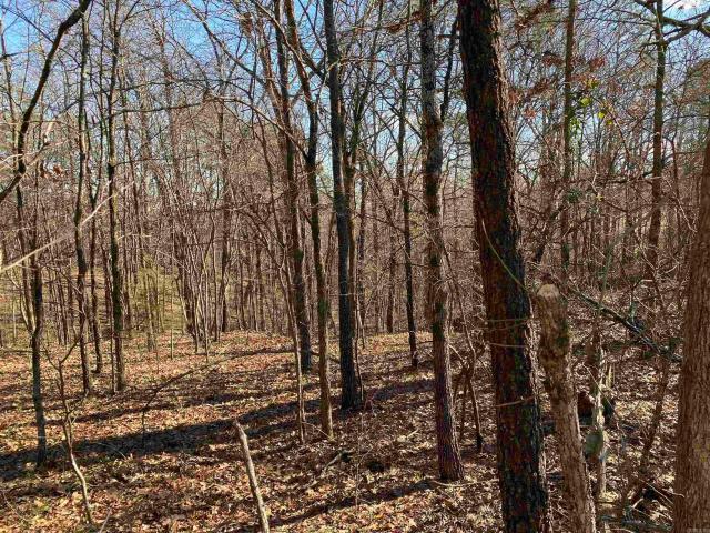 Land for sale in Ark
