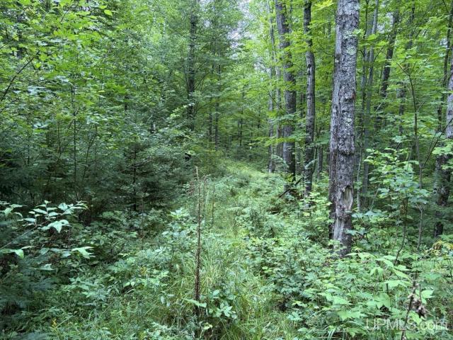 Land for sale in Michigan