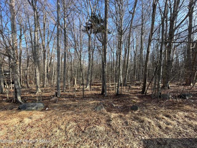 Land for sale in Cresco, Pennsylvania