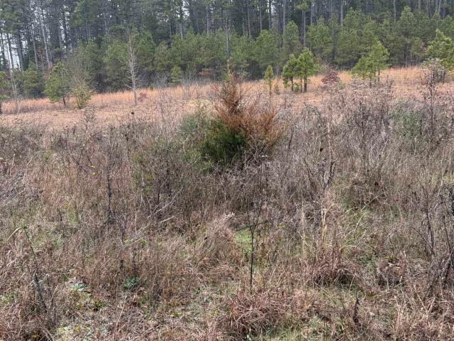 Land for sale in Ark