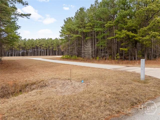 Land for sale in Tignall, Georgia