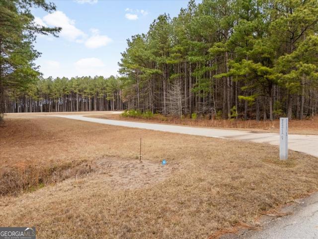 Land for sale in Tignall, Georgia