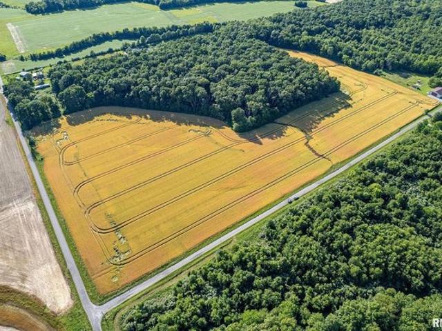 Farm for sale in Cisne, Illinois