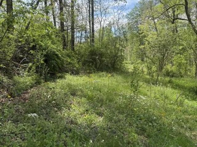 Land for sale in Wolfe, Kentucky
