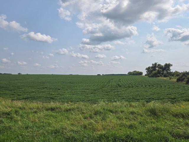 Land for sale in Donnelly, Minnesota
