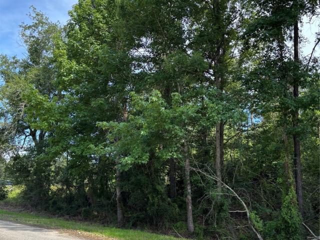 Land for sale in Newton, Texas