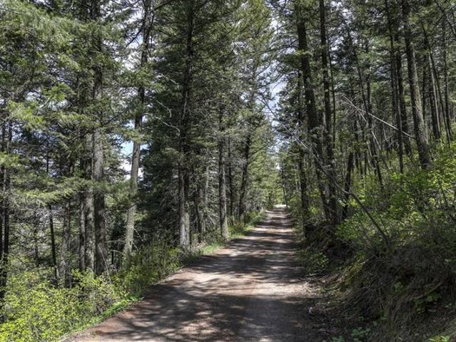 Land for sale in Lolo, Montana