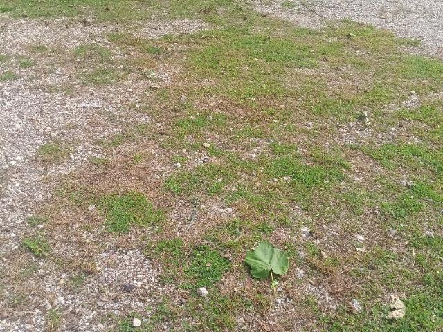 Land for sale in Camden, New Jersey