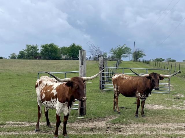 Property for sale in Chipley, Florida