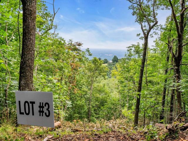 Land for sale in Greenville, South Carolina