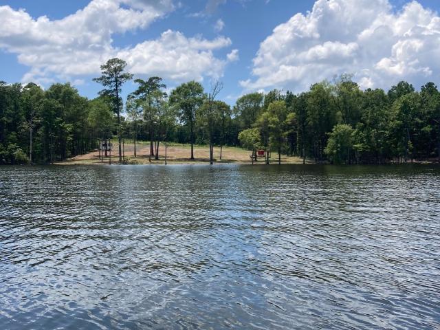 Land for sale in Broaddus, Texas