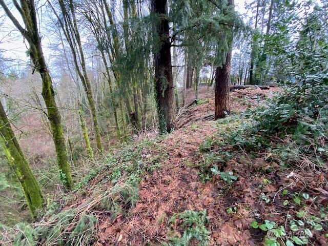 Land for sale in Thurston, Washington