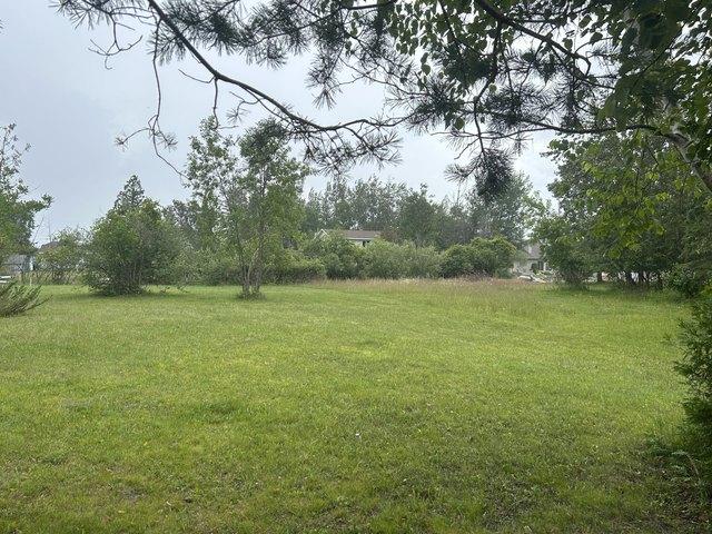 Land for sale in Alpena, Michigan