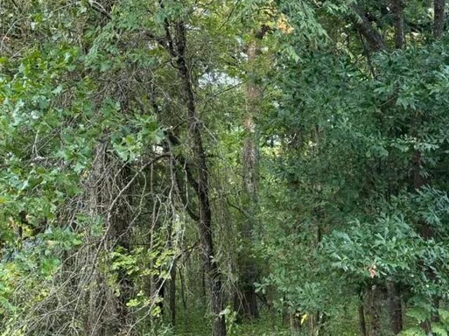 Land for sale in Henderson, Texas