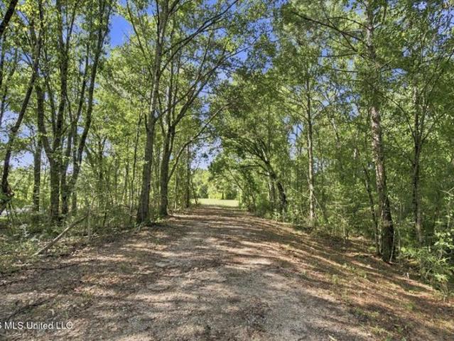 Land for sale in Lucedale, Mississippi