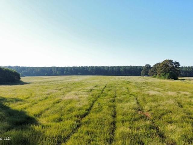Land for sale in Florence, Mississippi