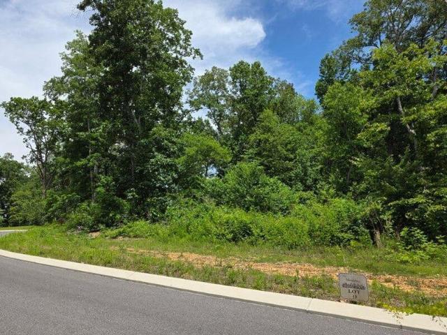 Land for sale in Riceville
