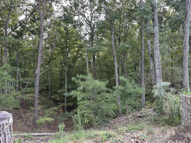 House for sale in Dover, Middle Tennessee