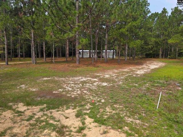 House for sale in Pelion, South Carolina