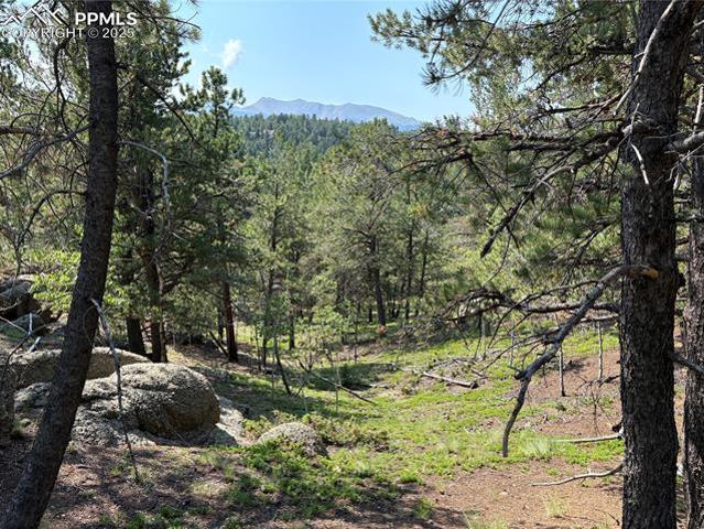 Land for sale in Woodland Park