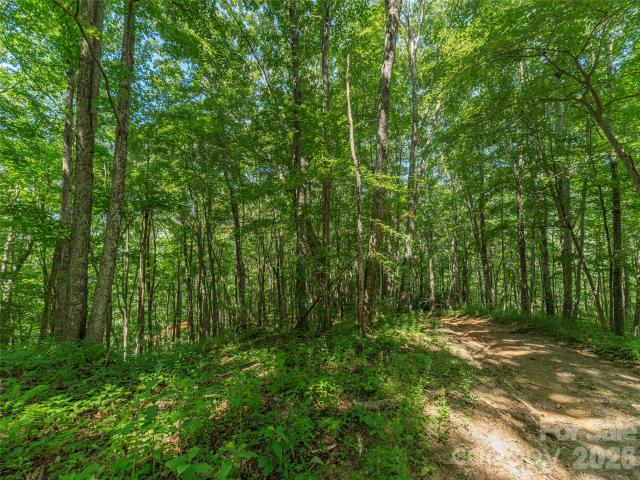 Land for sale in Haywood, North Carolina