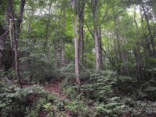 Land for sale in Black Mountain, North Carolina