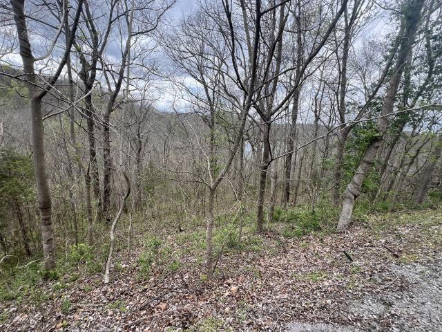 Land for sale in Tennessee