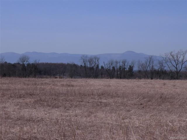 Land for sale in Livingston, New York
