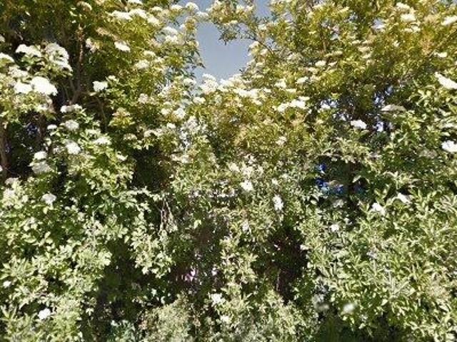 Lejlighed til salg i København, Brøndby