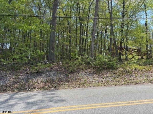 Land for sale in Hampton, New Jersey