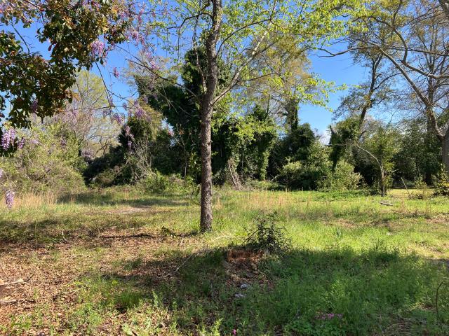 Land for sale in Johnston, South Carolina