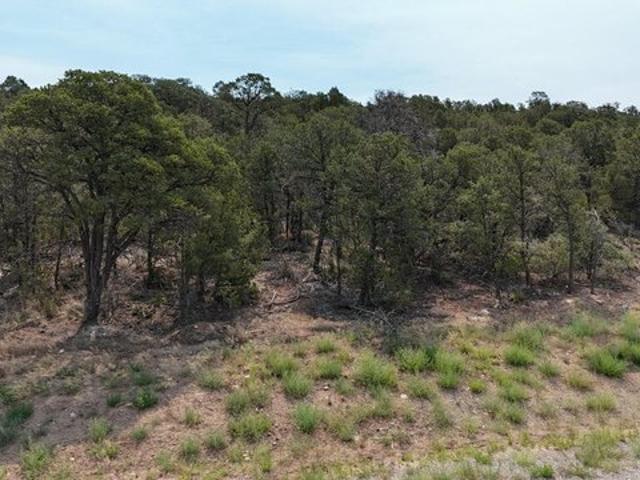 Land for sale in Placitas, New Mexico