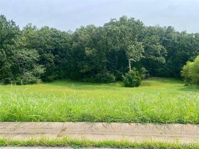 Land for sale in Villa Ridge, Missouri