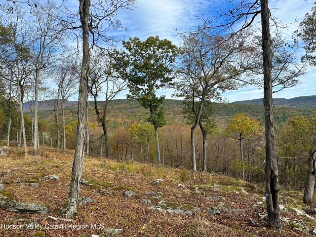 Land for sale in Bearsville, New York