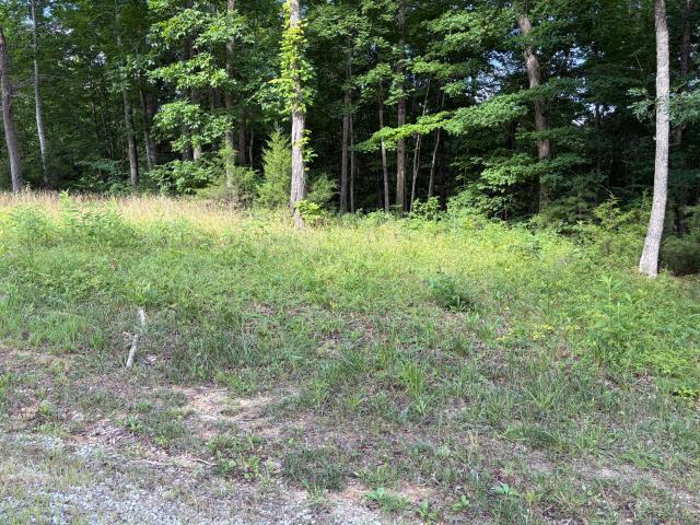 Land for sale in Monticello, Kentucky