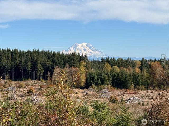 Land for sale in Thurston, Washington