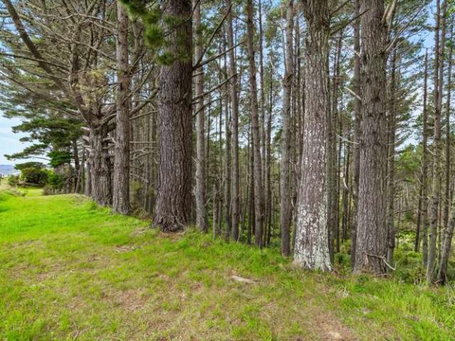 Property for sale in Waitoki, Rodney