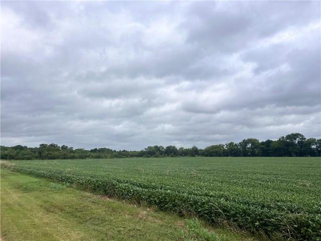 Land for sale in Cottonport, Avoyelles Parish